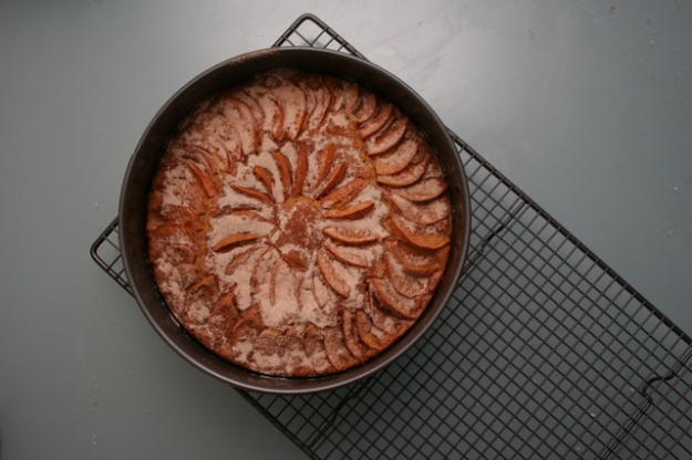 Cinnamon Apple Cake 01